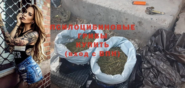 дурь Медногорск