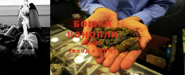 ГАЛЛЮЦИНОГЕННЫЕ ГРИБЫ Артём