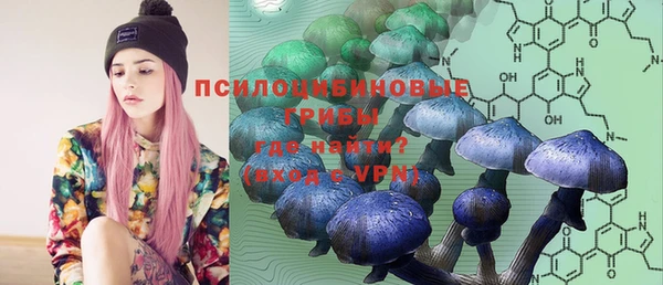 бутират Мегион