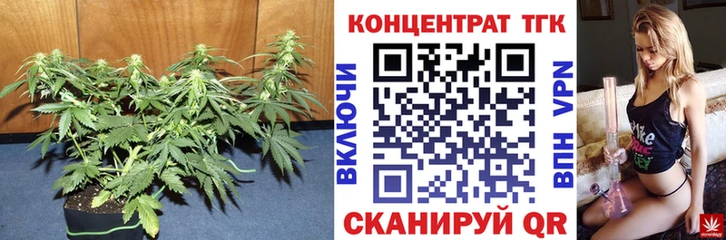 цены наркотик  Дорогобуж  Дистиллят ТГК вейп 
