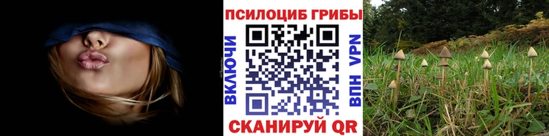 купить наркотики сайты  shop телеграм  Псилоцибиновые грибы ЛСД  Дорогобуж 